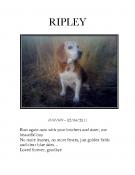 RIpley